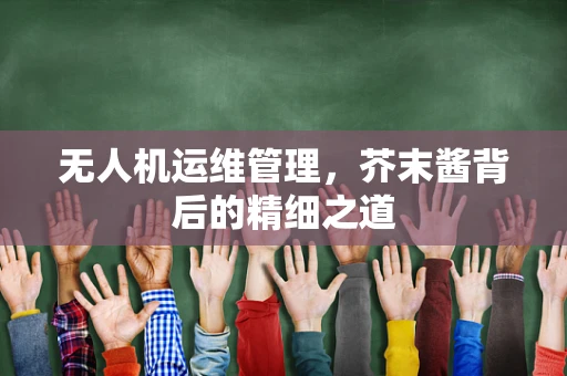 无人机运维管理，芥末酱背后的精细之道