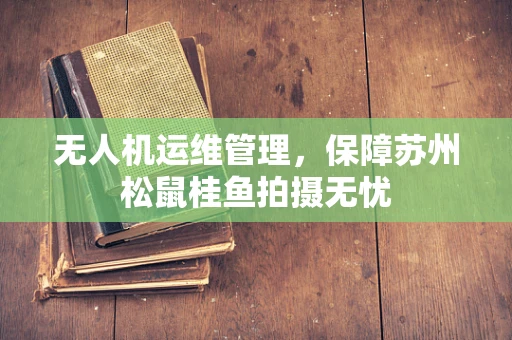 无人机运维管理，保障苏州松鼠桂鱼拍摄无忧