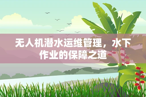 无人机潜水运维管理，水下作业的保障之道