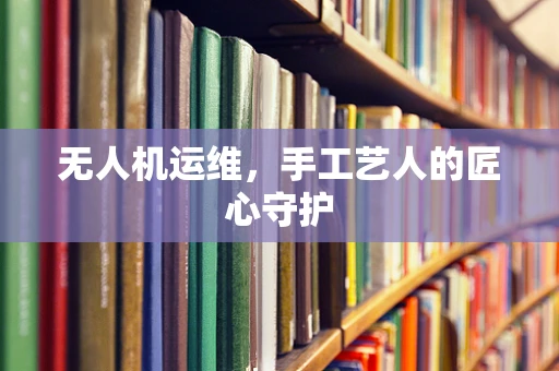 无人机运维，手工艺人的匠心守护