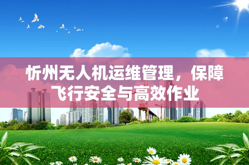 忻州无人机运维管理，保障飞行安全与高效作业