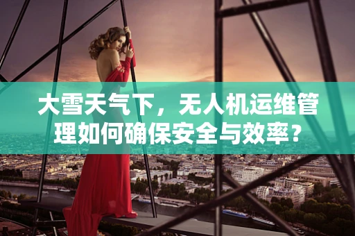大雪天气下，无人机运维管理如何确保安全与效率？