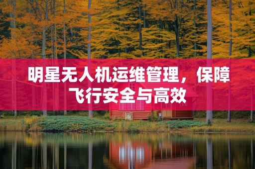 明星无人机运维管理，保障飞行安全与高效