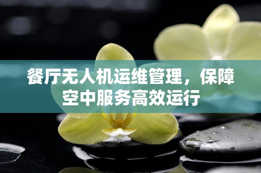 餐厅无人机运维管理，保障空中服务高效运行
