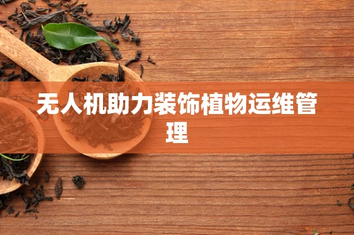 无人机助力装饰植物运维管理