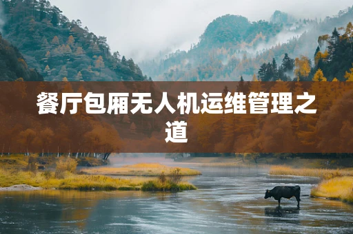 餐厅包厢无人机运维管理之道