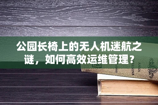 公园长椅上的无人机迷航之谜，如何高效运维管理？