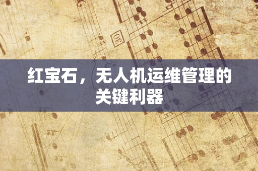 红宝石，无人机运维管理的关键利器