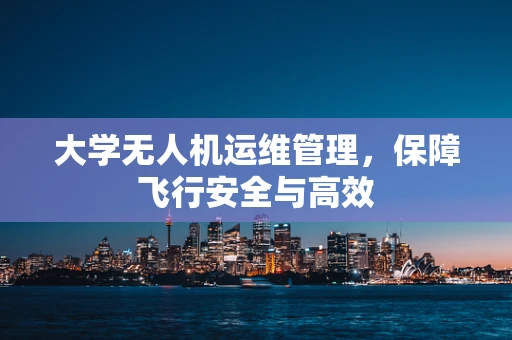 大学无人机运维管理，保障飞行安全与高效