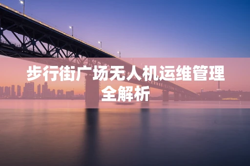 步行街广场无人机运维管理全解析