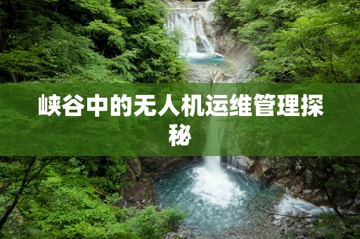 峡谷中的无人机运维管理探秘