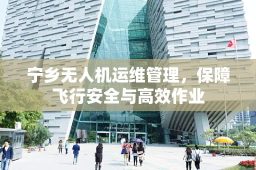 宁乡无人机运维管理，保障飞行安全与高效作业