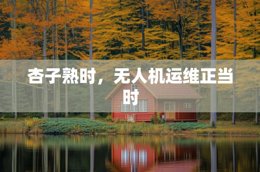 杏子熟时，无人机运维正当时
