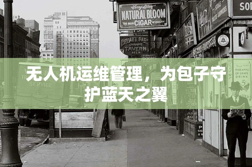 无人机运维管理，为包子守护蓝天之翼