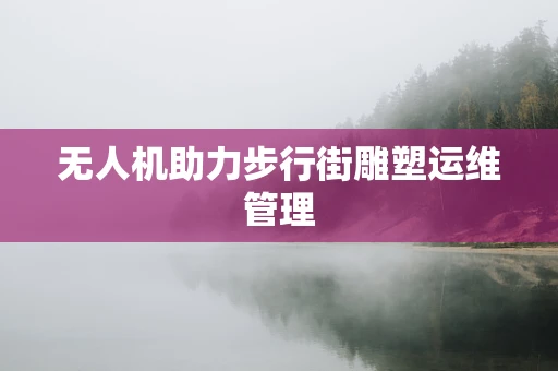 无人机助力步行街雕塑运维管理