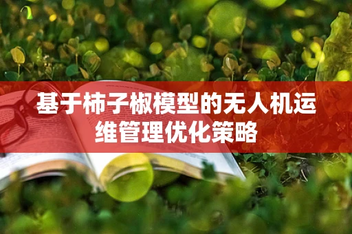 基于柿子椒模型的无人机运维管理优化策略