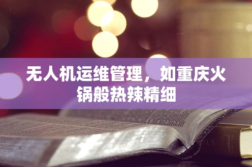 无人机运维管理，如重庆火锅般热辣精细