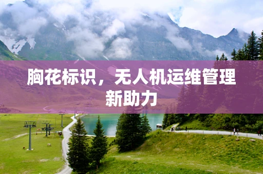 胸花标识，无人机运维管理新助力