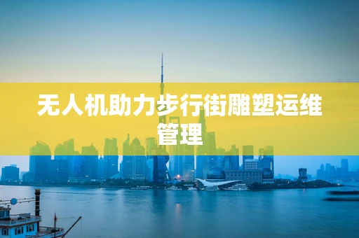 无人机助力步行街雕塑运维管理