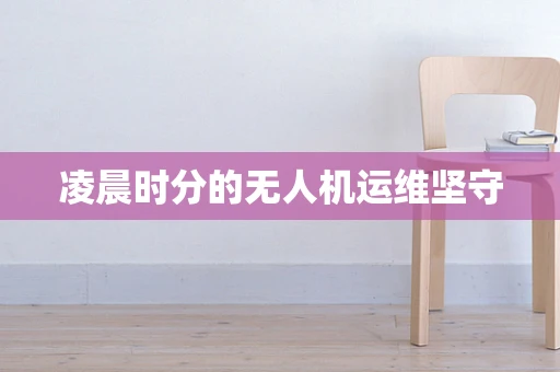 凌晨时分的无人机运维坚守