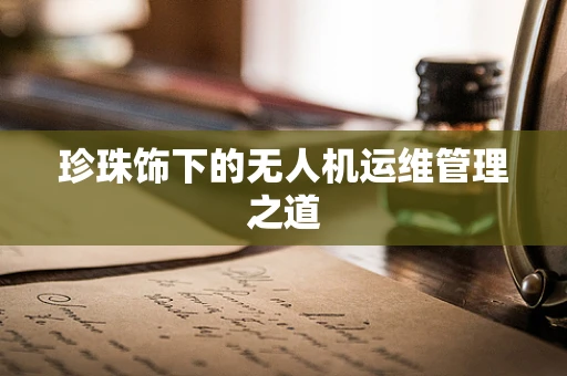 珍珠饰下的无人机运维管理之道