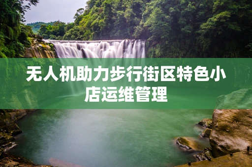 无人机助力步行街区特色小店运维管理