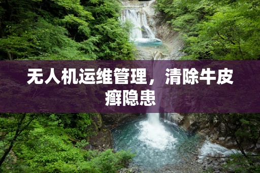 无人机运维管理，清除牛皮癣隐患