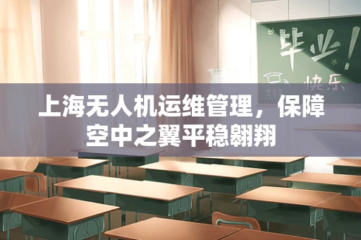 上海无人机运维管理，保障空中之翼平稳翱翔