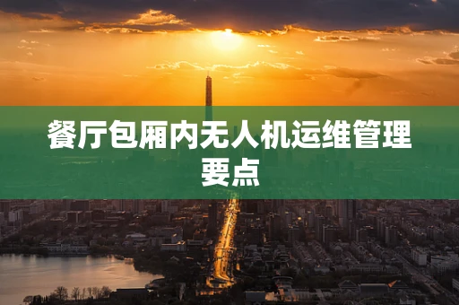 餐厅包厢内无人机运维管理要点