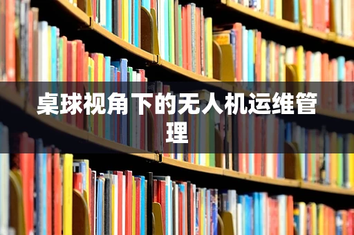 桌球视角下的无人机运维管理