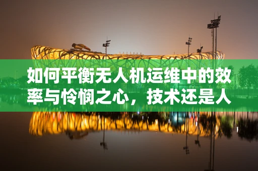 如何平衡无人机运维中的效率与怜悯之心，技术还是人文？
