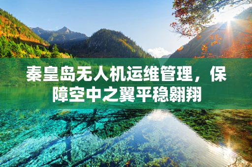 秦皇岛无人机运维管理，保障空中之翼平稳翱翔