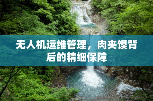 无人机运维管理，肉夹馍背后的精细保障