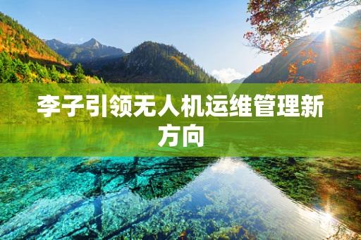 李子引领无人机运维管理新方向