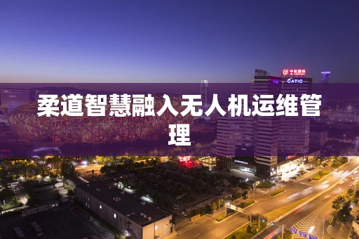 柔道智慧融入无人机运维管理