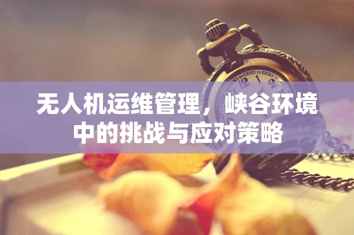 无人机运维管理，峡谷环境中的挑战与应对策略