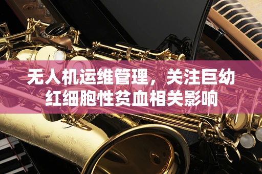 无人机运维管理，关注巨幼红细胞性贫血相关影响