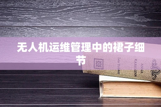 无人机运维管理中的裙子细节