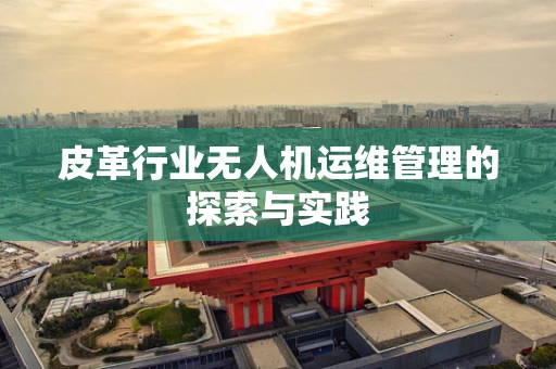 皮革行业无人机运维管理的探索与实践