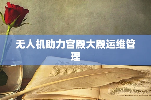 无人机助力宫殿大殿运维管理