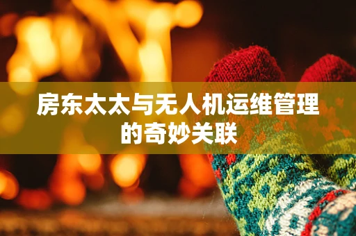 房东太太与无人机运维管理的奇妙关联