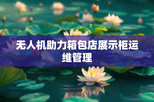 无人机助力箱包店展示柜运维管理