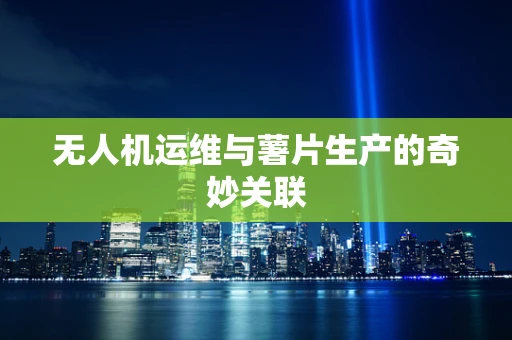 无人机运维与薯片生产的奇妙关联