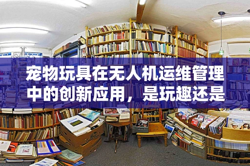 宠物玩具在无人机运维管理中的创新应用，是玩趣还是专业挑战？