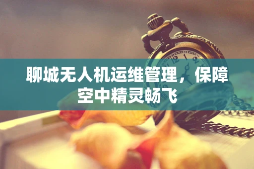 聊城无人机运维管理，保障空中精灵畅飞