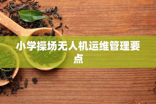 小学操场无人机运维管理要点