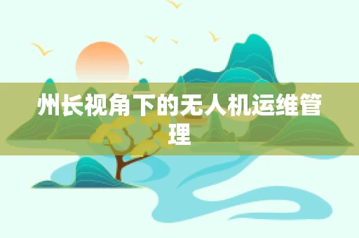 州长视角下的无人机运维管理