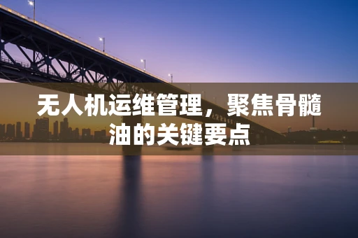 无人机运维管理，聚焦骨髓油的关键要点