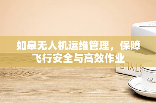 如皋无人机运维管理，保障飞行安全与高效作业
