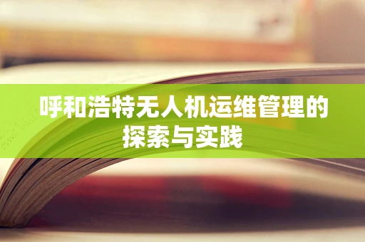 呼和浩特无人机运维管理的探索与实践